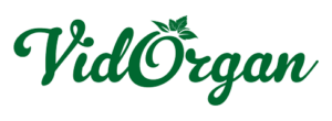 logo-vidorgan